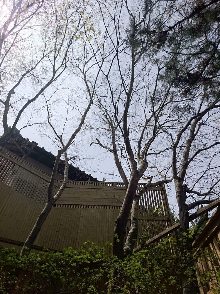 La Maison De David يوفو المظهر الخارجي الصورة